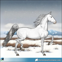 Horse Color:Blue Onyx Sabino Rabicano 