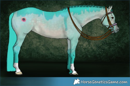 Horse Color:Watercolor Brown Dun 