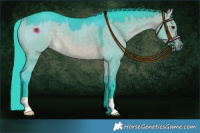 Horse Color:Watercolor Brown Dun 