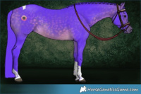 Horse Color:Watercolor Buckskin Tobiano Rabicano 