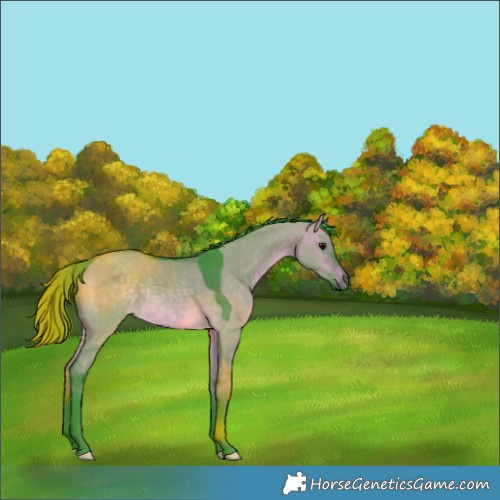 Horse Color:Watercolor Brown Dun Rabicano 