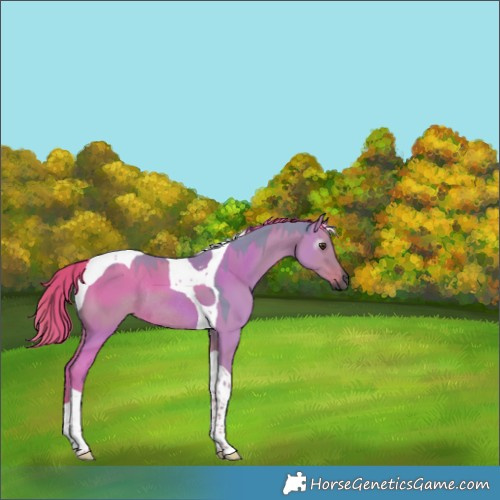 Horse Color:Gray Watercolor Liver Red Dun Tobiano Rabicano 