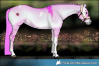 Horse Color:Watercolor Liver Red Dun Onyx Tobiano Rabicano 