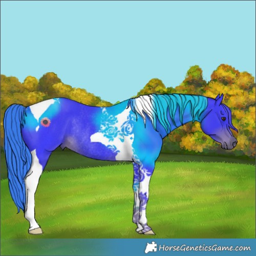 Horse Color:Watercolor Liver Chestnut Tobiano Rabicano 