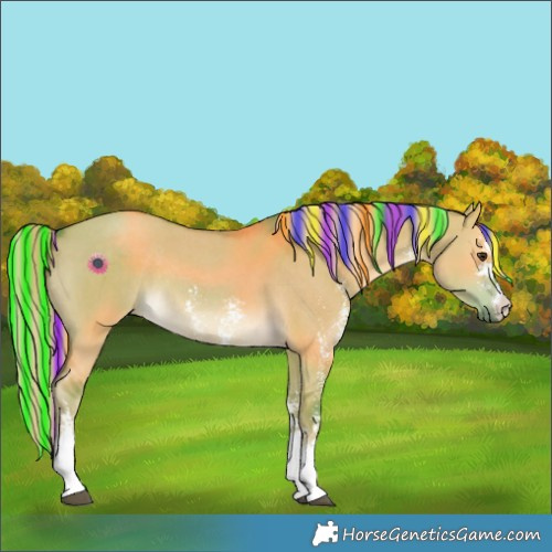 Horse Color:Painted Watercolor Chocolate Palomino Dun Sabino Rabicano 
