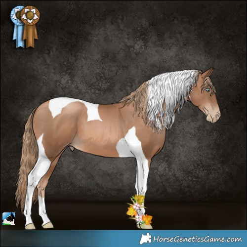 Horse Color:Liver Chestnut Pearl Tobiano 