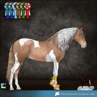 Horse Color:Liver Chestnut Pearl Tobiano 