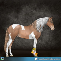 Horse Color:Liver Chestnut Pearl Tobiano 