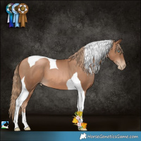 Horse Color:Liver Chestnut Pearl Tobiano 