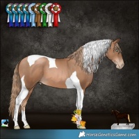 Horse Color:Liver Chestnut Pearl Tobiano 