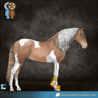Horse Color:Liver Chestnut Pearl Tobiano 