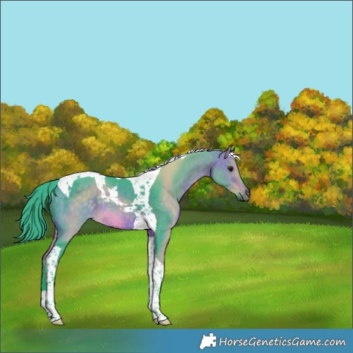 Horse Color:Watercolor Bay Dun Tobiano Rabicano 