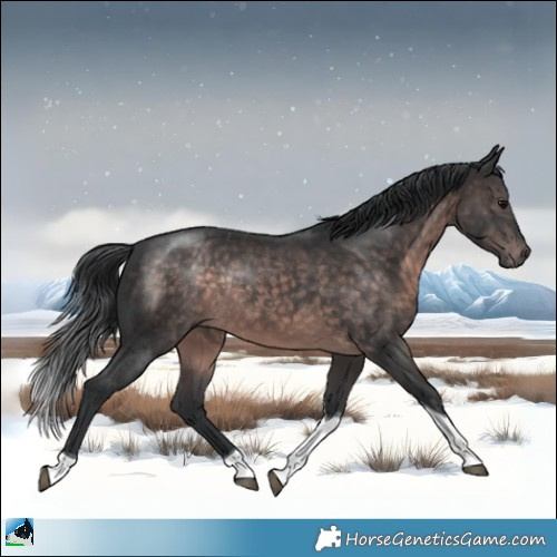 Horse Color:Platinum Brown Tobiano Rabicano