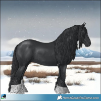 Horse Color:Platinum Black Tobiano Rabicano