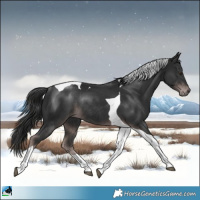 Horse Color:Platinum Liver Chestnut Tobiano Rabicano
