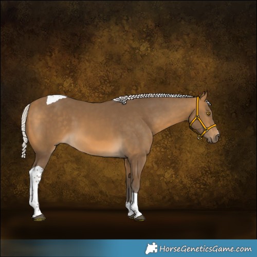 Horse Color:Silver Buckskin Tobiano 