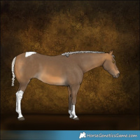 Horse Color:Silver Buckskin Tobiano 