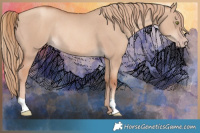 Horse Color:Gold Champagne Dun Rabicano