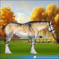 Horse Color:White Spotted Buckskin Onyx Rabicano Brindle