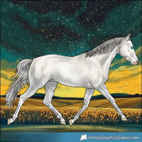 Horse Color:White Spotted Chocolate Silver Buckskin Roan Pearl Onyx Splash Rabicano Brindle