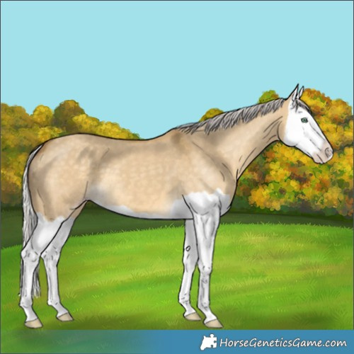 Horse Color:Silver Classic Cream Champagne Dun Splash