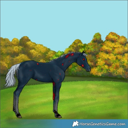 Horse Color:ERROR: UNKNOWN ANOMALY