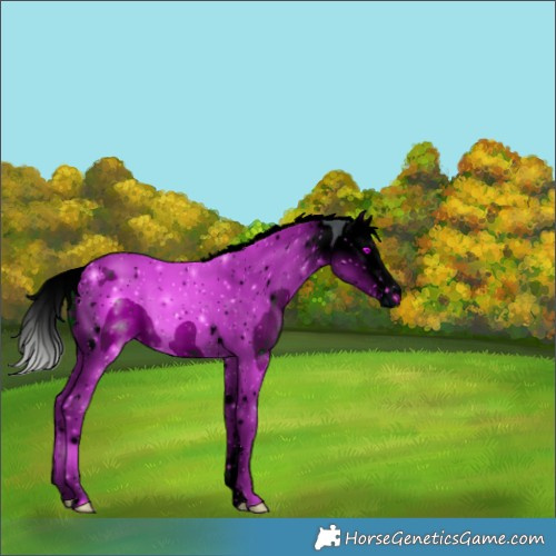 Horse Color:ERROR: UNKNOWN ANOMALY