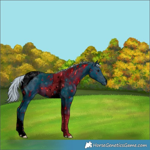 Horse Color:ERROR: UNKNOWN ANOMALY