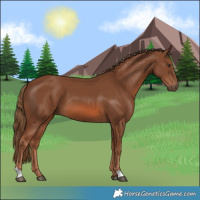 Horse Color:Chestnut 