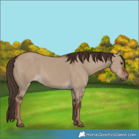 Horse Color:Liver Red Dun 