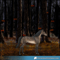 Horse Color:Brown Dun 