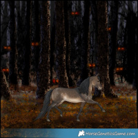 Horse Color:Brown Dun 