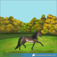 Horse Color:Brown Dun 