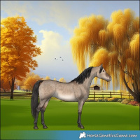 Horse Color:Bay Dun 