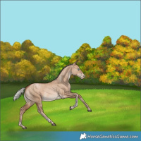 Horse Color:Silver Brown Pearl Dun Tobiano Rabicano