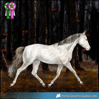 Horse Color:Brown Snowdrop Pearl Dun Tobiano Blanket Rabicano 