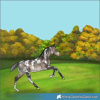 Horse Color:White Spotted Brown Dun Varnish Rabicano 