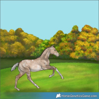 Horse Color:White Spotted Silver Brown Pearl Dun Tobiano Rabicano
