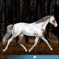 Horse Color:Silver Brown Tobiano Near Fewspot 
