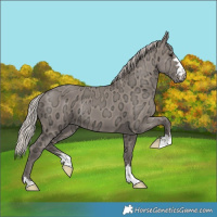 Horse Color:Silver Grullo Ice 