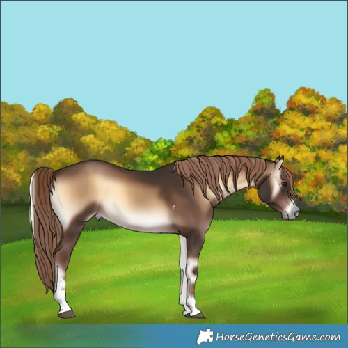 Horse Color:Liver Red Onyx Tobiano 