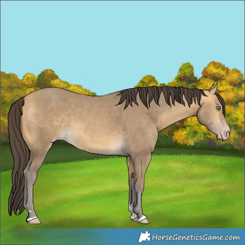 Horse Color:Sable Cream Champagne