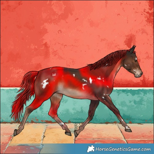 Horse Color:White Spotted Liver Chestnut
