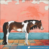 Horse Color:Liver Chestnut Tobiano Frame