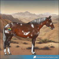 Horse Color:White Spotted Silver Brown Tobiano