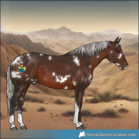 Horse Color:White Spotted Silver Brown Tobiano 