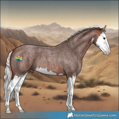 Horse Color:White Spotted Silver Bay Roan Splash 