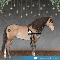 Horse Color:Amber Champagne 