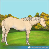 Horse Color:Palomino Dun 