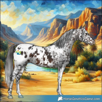 Horse Color:White Spotted Brown Appaloosa